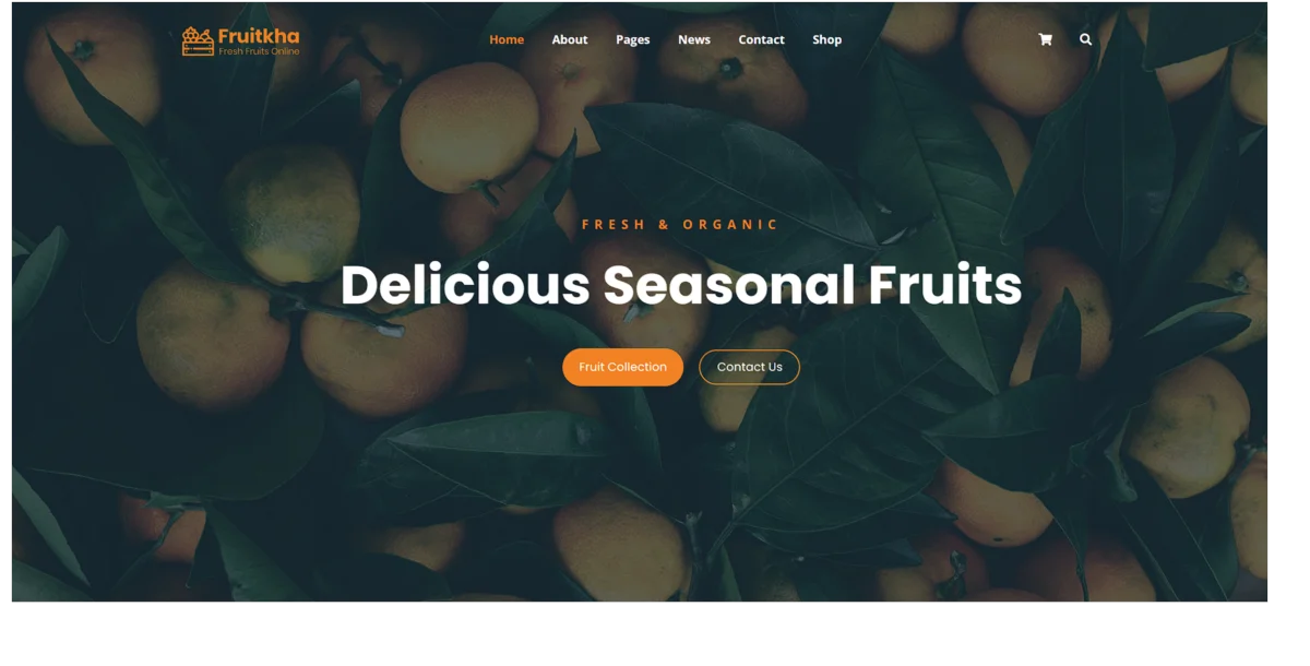 Fruitkha | Html E-Ticaret Teması